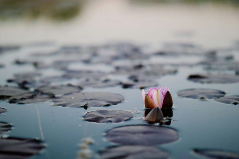 Healing Story 5 #Christine — When You Are used to Seeking Approval and Validation from Men and… Healing Story 5 #Christine — When You Are used to Seeking Approval and Validation from Men and…