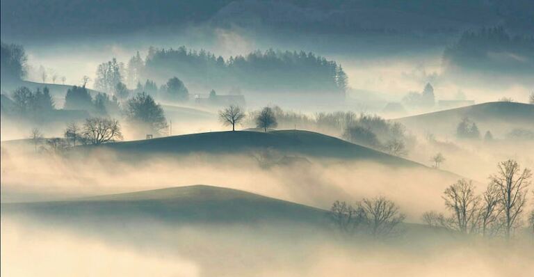 The Mental Haze: Understanding Brain Fog After Narcissistic Abuse The Mental Haze: Understanding Brain Fog After Narcissistic Abuse