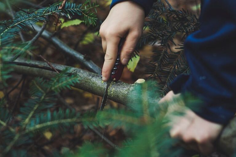 Survival Mode After Abuse : 6 Signs You’re Operating in Survival Mode Survival Mode After Abuse : 6 Signs You’re Operating in Survival Mode
