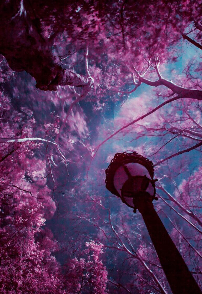 Maladaptive Daydreaming: Finding Purpose In Studying Maladaptive Daydreaming? Maladaptive Daydreaming: Finding Purpose In Studying Maladaptive Daydreaming?