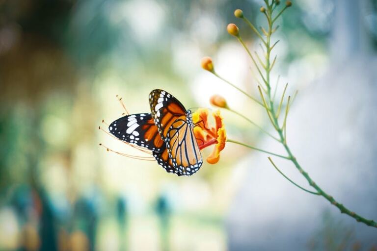 How to Transmute Your Emotional Pain into Healing and Avoid Suffering after Abuse How to Transmute Your Emotional Pain into Healing and Avoid Suffering after Abuse