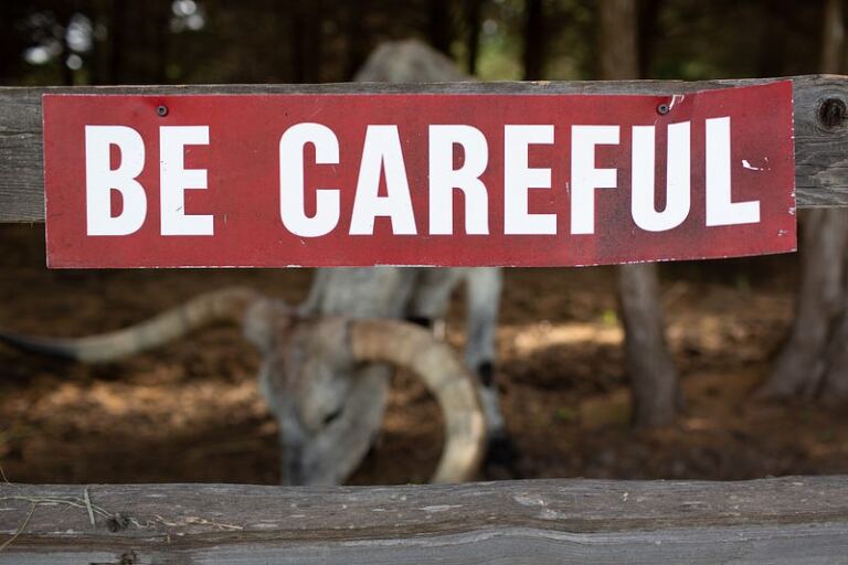 Toxic Relationships: Will Being Overly Cautious Keep You Away from Attracting Toxic Relationships? Toxic Relationships: Will Being Overly Cautious Keep You Away from Attracting Toxic Relationships?