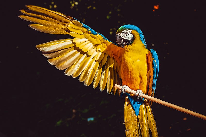 Trauma Dumping: Are you Hurting Others by Oversharing? trauma dumping: are you hurting others by oversharing? Trauma Dumping: Are you Hurting Others by Oversharing? trauma dumping: are you hurting others by oversharing?