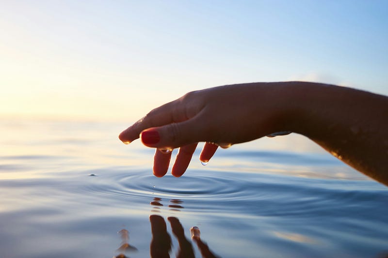 Can You Really Ever Go Back to The Person You Used to Be Before the Narcissistic Abuse? can you really ever go back to the person you used to be before the narcissistic abuse? Can You Really Ever Go Back to The Person You Used to Be Before the Narcissistic Abuse? can you really ever go back to the person you used to be before the narcissistic abuse?
