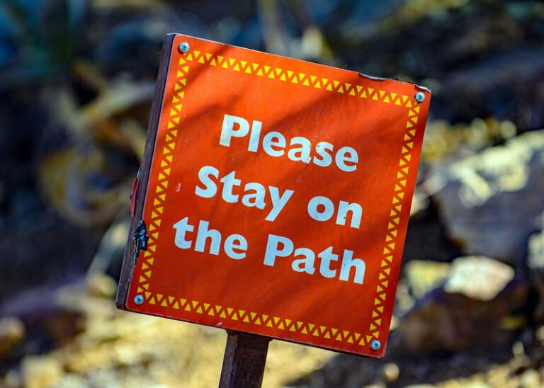What Does It Mean to Be Committed in Your Healing Journey? What Does It Mean to Be Committed in Your Healing Journey?