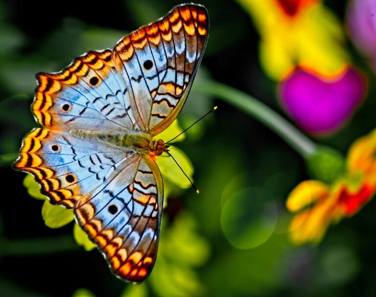 Healing — Are you Transforming or Are you Just Scratching the Surface? Healing — Are you Transforming or Are you Just Scratching the Surface?