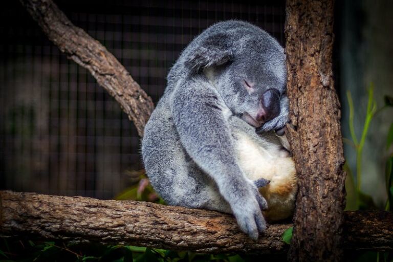 Why You Feel So Tired and Exhausted after Narcissistic Abuse Why You Feel So Tired and Exhausted after Narcissistic Abuse