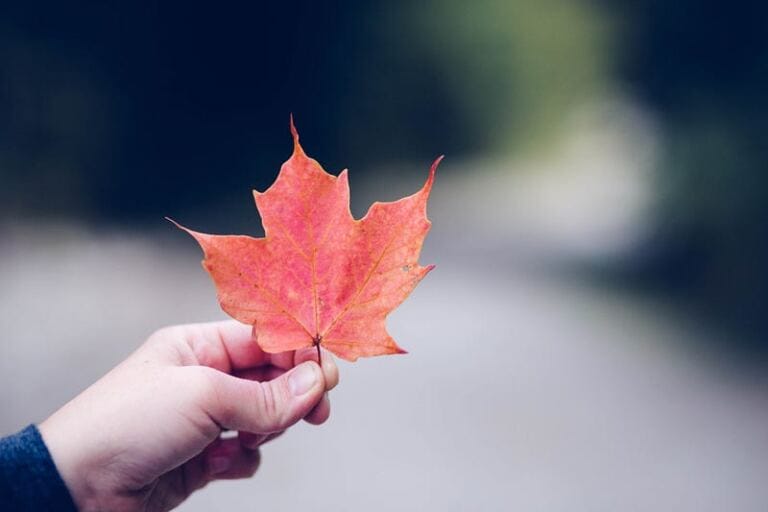 PEOPLE PLEASING: Why People Pleasers Attracts Narcissists self-esteem and how low self-esteem leads to unhealthy relationships PEOPLE PLEASING: Why People Pleasers Attracts Narcissists self-esteem and how low self-esteem leads to unhealthy relationships