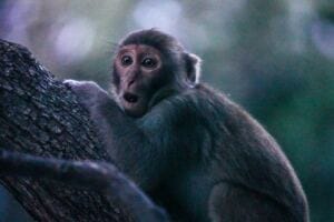 Do Narcissists Keep Tabs on You After the Discard? do narcissists keep tabs on you after the discard? Do Narcissists Keep Tabs on You After the Discard? do narcissists keep tabs on you after the discard?