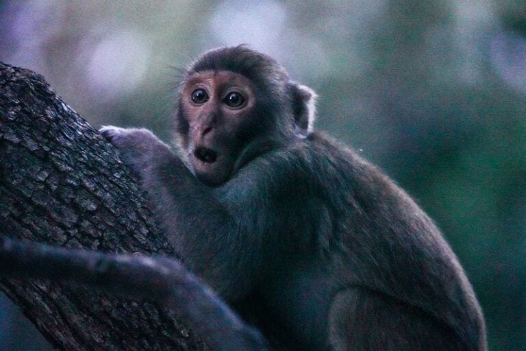 Do Narcissists Keep Tabs on You After the Discard? healing journey: when you’re stuck focusing on your abuser? Do Narcissists Keep Tabs on You After the Discard? healing journey: when you’re stuck focusing on your abuser?