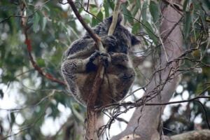 Why Toxic People Won’t Leave You Alone or Allow You to Leave? healing from abuse: will ignoring the pain after abuse make the pain go away? Why Toxic People Won’t Leave You Alone or Allow You to Leave? healing from abuse: will ignoring the pain after abuse make the pain go away?