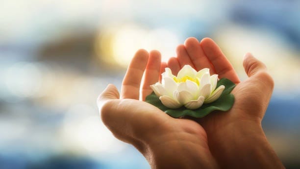Healing Isn’t Forgetting: Here’s What Really Works emotionally abusive Healing Isn’t Forgetting: Here’s What Really Works emotionally abusive